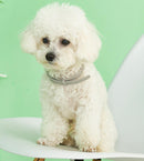 Natural Flea & Tick Collar for Cats & Dogs – Adjustable and Waterproof