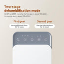 Compact Household Dehumidifier – Quiet with Multi-Color Atmosphere Light