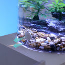 Desktop Fish Tank – Small Aquarium with LED Light Filter & Anti-Slip Base