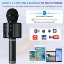 Wireless Bluetooth Karaoke Microphone – Handheld Mic & Speaker For All Ages