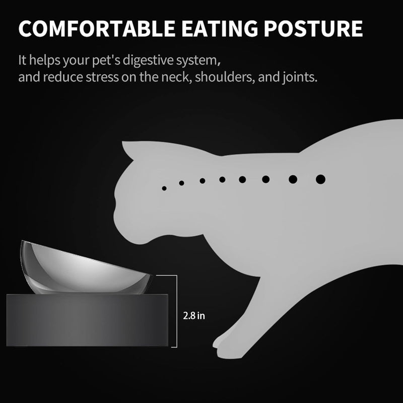 Dog & Cat Bowl with Elevated Stand - Stainless Steel & Easy to Clean