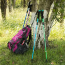 Collapsible Walking Pole - Lightweight Trekking Stick Ideal for Men Women and Seniors