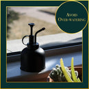 Stainless Steel Plant Sprayer –300ml Manual Pressure Watering Can Mist Bottle