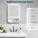 LED Bathroom Mirror Cabinet – Storage with Magnetic Door & Tissue Dispenser