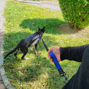 Hands-Free Dog Leash with Waist Belt & Bag – Stretchable Dog Lead for Walking Jogging & Running