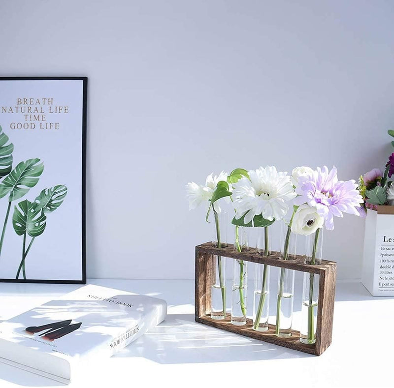 Wall-Mounted Glass Planter – Test Tube Vase with Wooden Stand for Hydroponic Plants