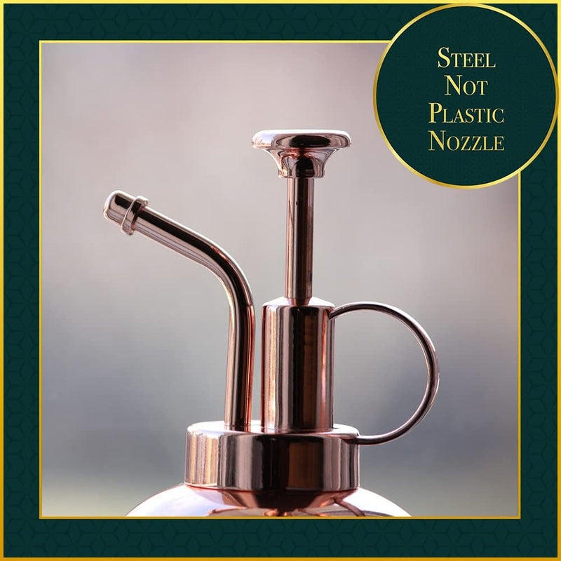 Stainless Steel Plant Sprayer –300ml Manual Pressure Watering Can Mist Bottle