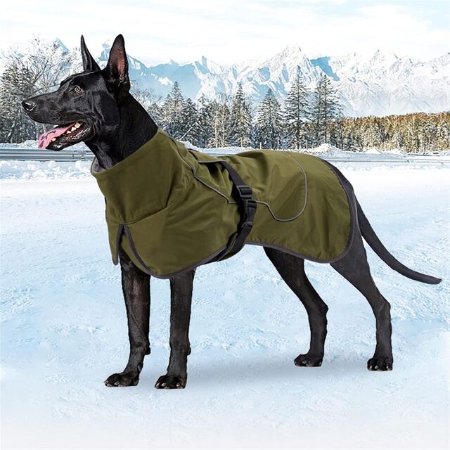 Waterproof Dog Coat – Fleece-Lined Winter Jacket with Reflective Straps & Harness Hole