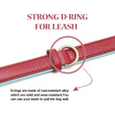 Luxury Dog Collar with Gold Buckle - made with Leather