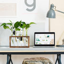 Wall-Mounted Glass Planter – Test Tube Vase with Wooden Stand for Hydroponic Plants