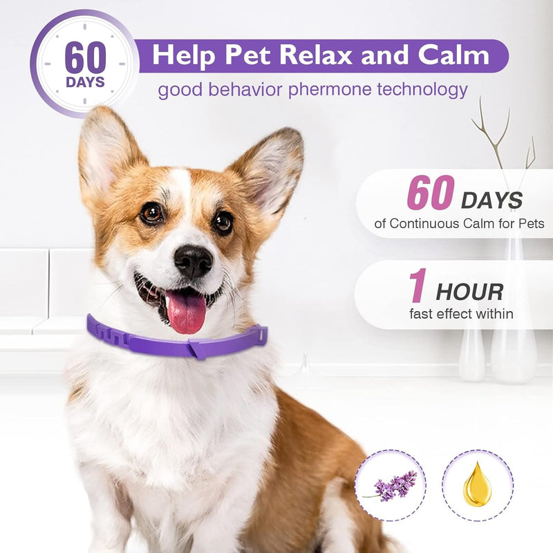Calming Collar – Cats and Dogs 60 Days Stress & Anxiety Relief