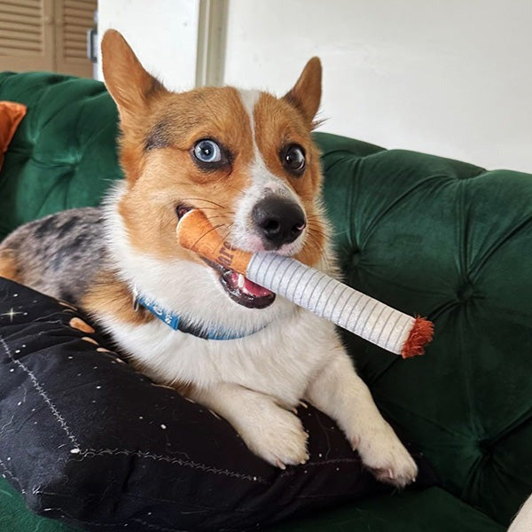 Cigarette Chew Toy for Dogs – Funny Dog Toy Smoking Design