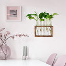 Wall-Mounted Glass Planter – Test Tube Vase with Wooden Stand for Hydroponic Plants
