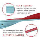 Luxury Dog Collar with Gold Buckle - made with Leather