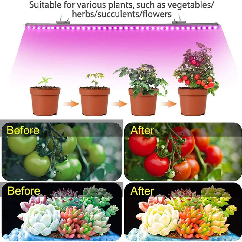 USB LED Grow Light Roll for Horticulture