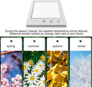 SAD Light Therapy Lamp – 10000 LUX with Adjustable Brightness Timer & Detachable Stand