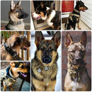 Tactical Dog Collar with Control Handle and D-ring for a Dog leash