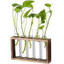 Wall-Mounted Glass Planter – Test Tube Vase with Wooden Stand for Hydroponic Plants