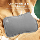2-in-1 Electric Hand Warmer