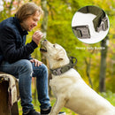 Tactical Dog Collar with Control Handle and D-ring for a Dog leash