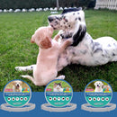 Flea and Tick Control Collar – Cats and Dogs 8 Months Protection