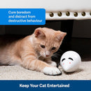 Automatic Electric Cat Toy – Interactive Mouse Teaser for Self-Entertainment & Active Play