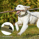 Tactical Dog Collar with Control Handle and D-ring for a Dog leash