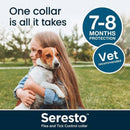 Seresto Flea and Tick Control Collar – Cats and Dogs
