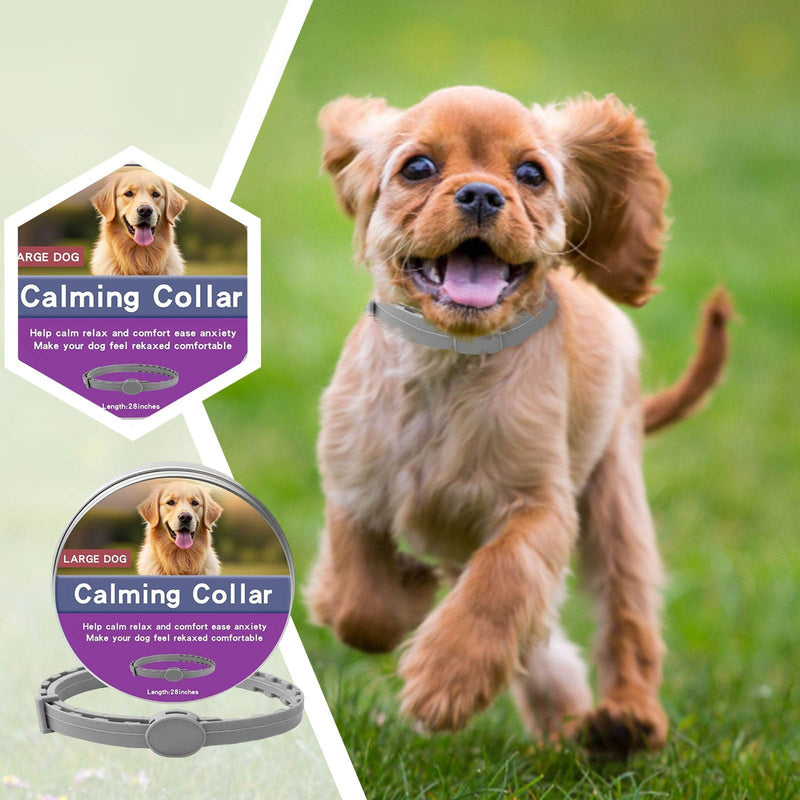 Calming Collar for Cats Small & Large Dogs – Stress & Anxiety Relief