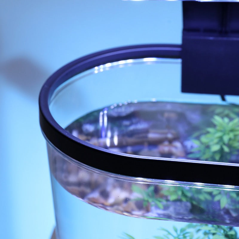Desktop Fish Tank – Small Aquarium with LED Light Filter & Anti-Slip Base