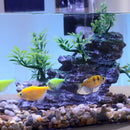 Desktop Fish Tank – Small Aquarium with LED Light Filter & Anti-Slip Base
