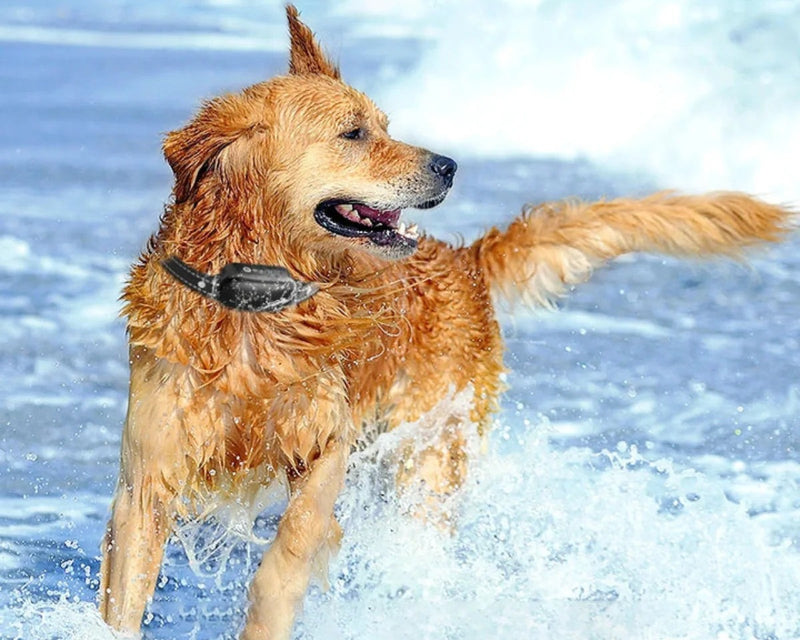 Waterproof Electric Dog Collar – Remote Training & Anti-Bark Device 1000m