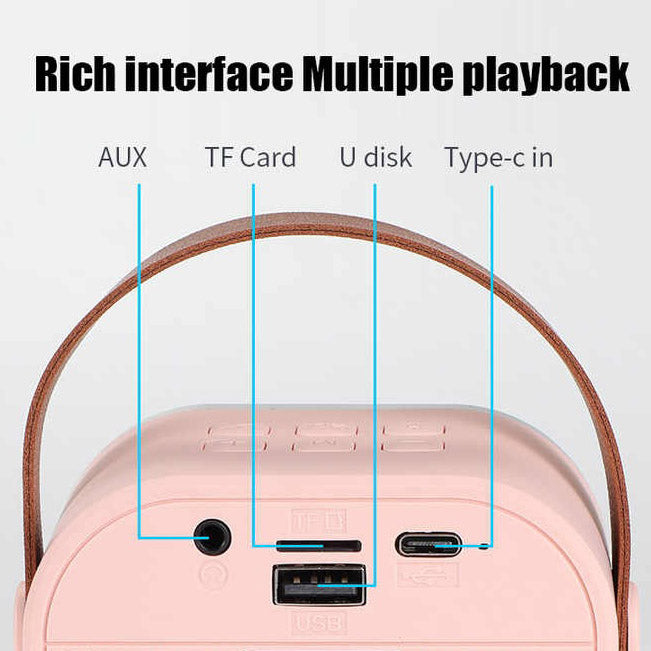 Portable Karaoke Machine – Bluetooth Speaker with 2 Wireless Mics & LED Lights