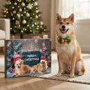 Dog Advent Calendar 2026 – 24 Days of Dog Toys Christmas Countdown