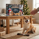 Dog Advent Calendar 2026 – 24 Days of Dog Toys Christmas Countdown