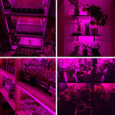 USB LED Grow Light Roll for Horticulture
