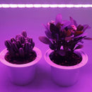 USB LED Grow Light Roll for Horticulture