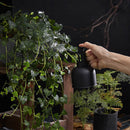 Stainless Steel Plant Sprayer –300ml Manual Pressure Watering Can Mist Bottle