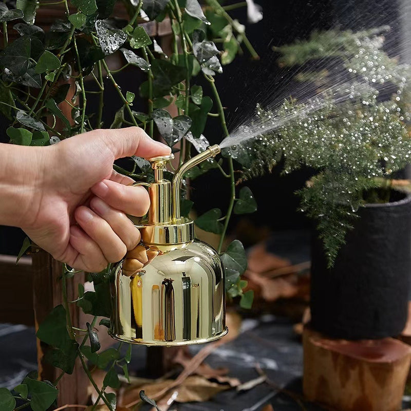 Stainless Steel Plant Sprayer –300ml Manual Pressure Watering Can Mist Bottle