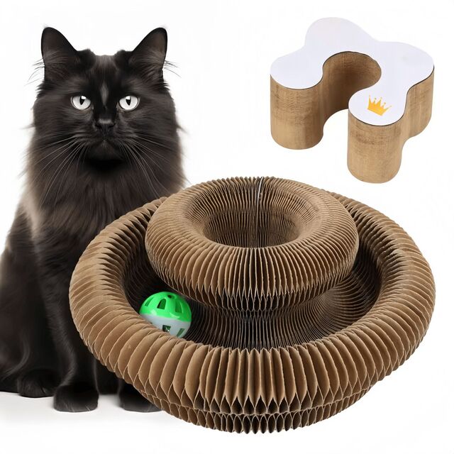 Magic Organ Cat Scratcher – Foldable Accordion Toy with Ball for Interactive Play