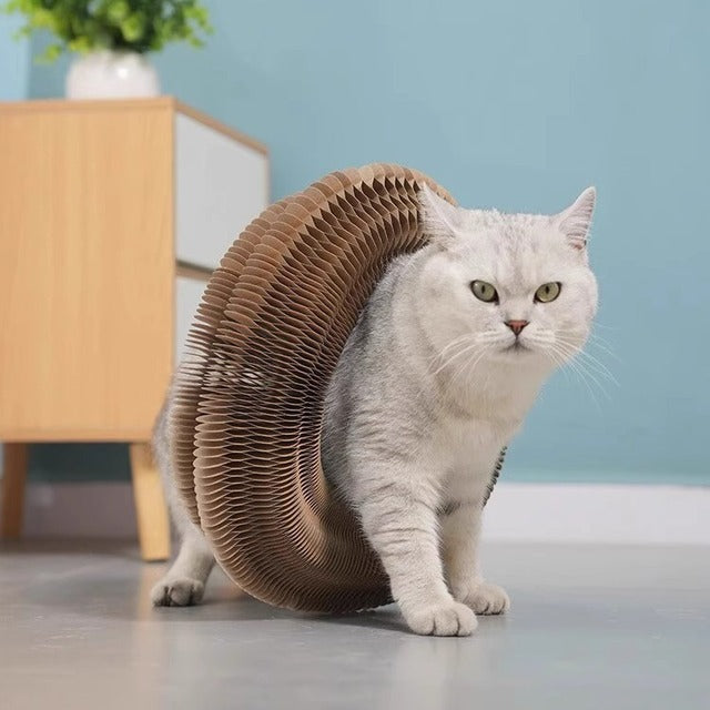 Magic Organ Cat Scratcher – Foldable Accordion Toy with Ball for Interactive Play