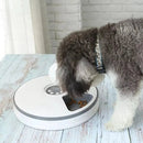 6-Meal Auto Cat Feeder – Programmable Dispenser & Easy to Clean