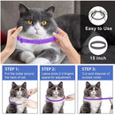 Calming Collar for Cats and Kittens