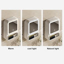 LED Bathroom Mirror Cabinet – Storage with Magnetic Door & Tissue Dispenser