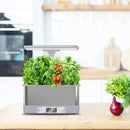 WiFi Smart Indoor Garden – 8-Pod Hydroponic Growing Kit for Herbs