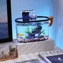 Desktop Fish Tank – Small Aquarium with LED Light Filter & Anti-Slip Base