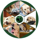 Durable Dog Chew Toy – Food Dispensing TPR Toy