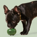 Durable Dog Chew Toy – Food Dispensing TPR Toy