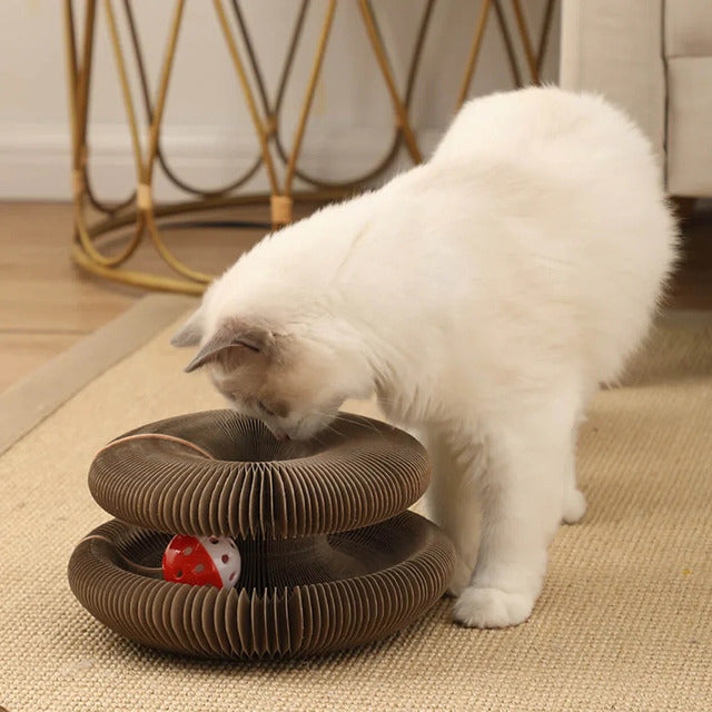 Magic Organ Cat Scratcher – Foldable Accordion Toy with Ball for Interactive Play