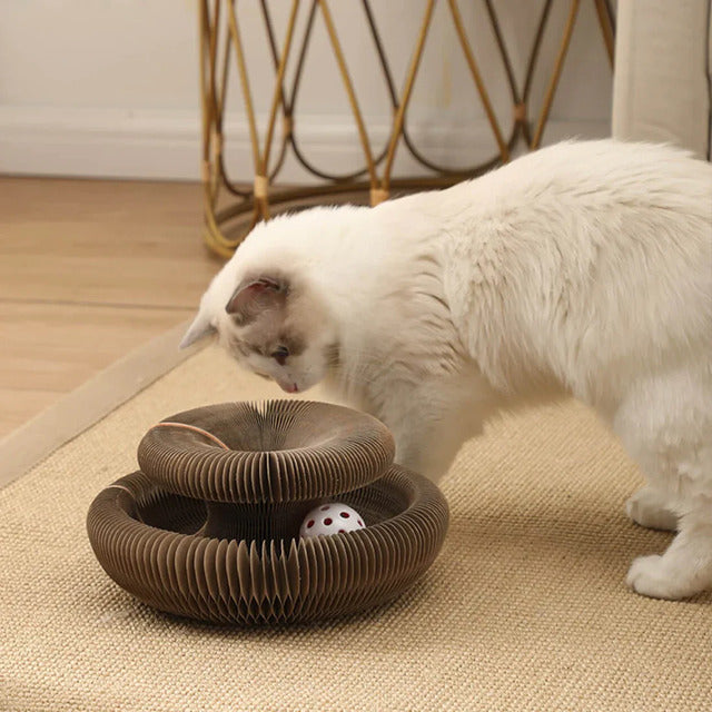 Magic Organ Cat Scratcher – Foldable Accordion Toy with Ball for Interactive Play
